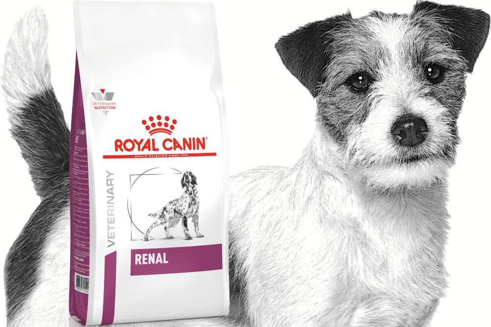 ROYAL CANIN Renal 14kg