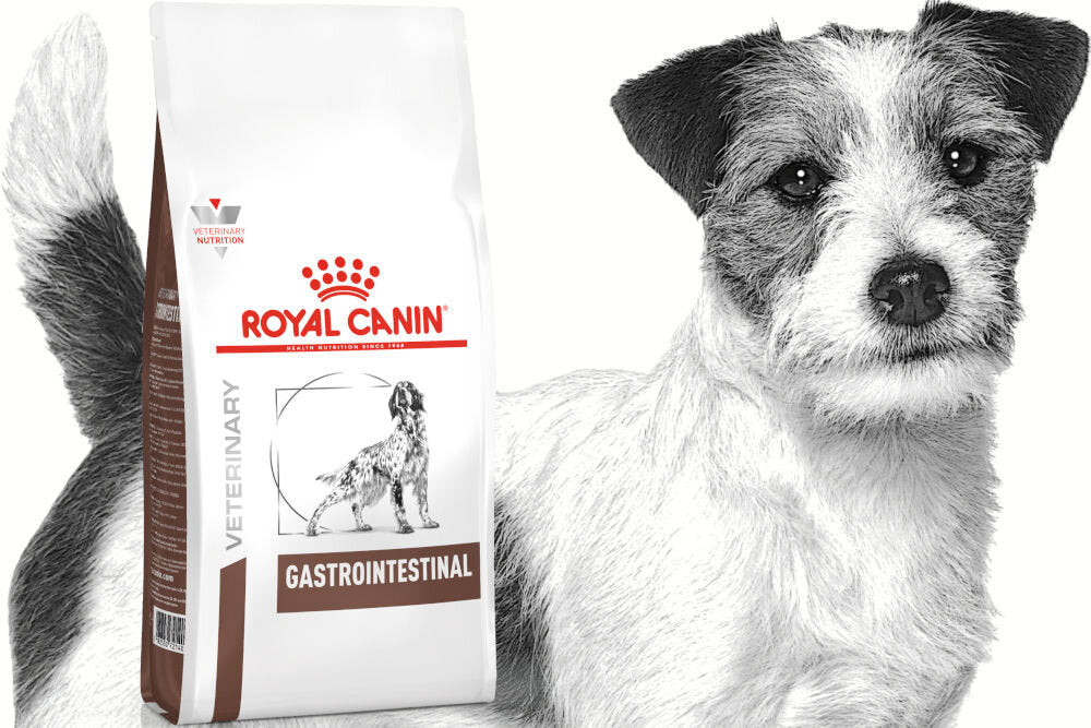 ROYAL CANIN Gastro Intestinal  15kg